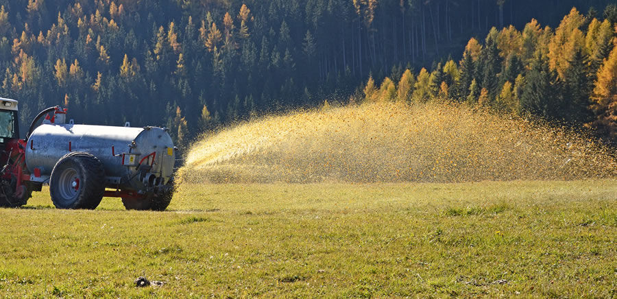 Dusičnany se do vody dostávají ze septiků a hnojišť